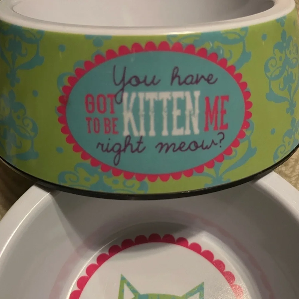 Cat food & water bowls melamine green blue pink cat face in bottom kitch phrase.